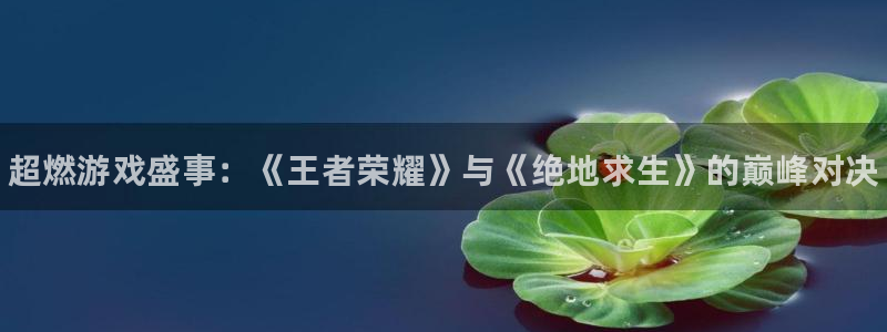 蓝冠娱乐2登录：超燃游戏盛事：《王者荣耀》与《绝地求生》的巅