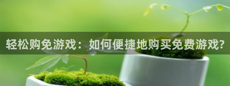 蓝冠娱乐注册登录平台：轻松购免游戏：如何便捷地购买免费游戏?