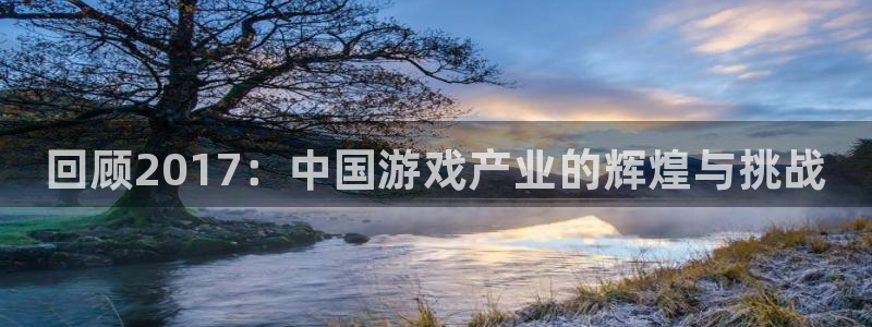 蓝冠娱乐下载：回顾2017：中国游戏产业的辉煌与挑战