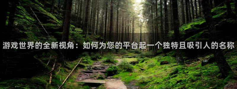 蓝冠娱乐下载：游戏世界的全新视角：如何为您的平台起一个独特且