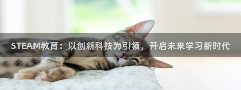 蓝冠娱乐注册开户：STEAM教育：以创新科技为引领，开启未来